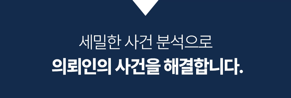 대전이혼전문변호사 사건 분석 안내 이미지
